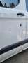 Ford Transit Custom Variobus 2,0 TDCI L1H1 320 Trend - thumbnail 13