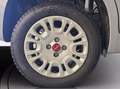 Fiat Panda 1.2 easy s&s 69cv my19 Grigio - thumbnail 12