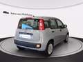 Fiat Panda 1.2 easy s&s 69cv my19 Grigio - thumbnail 4