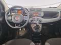 Fiat Panda 1.2 easy s&s 69cv my19 Grigio - thumbnail 6