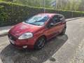 Fiat Punto 1.3Mjt 16v Feel/Class Brun - thumbnail 4