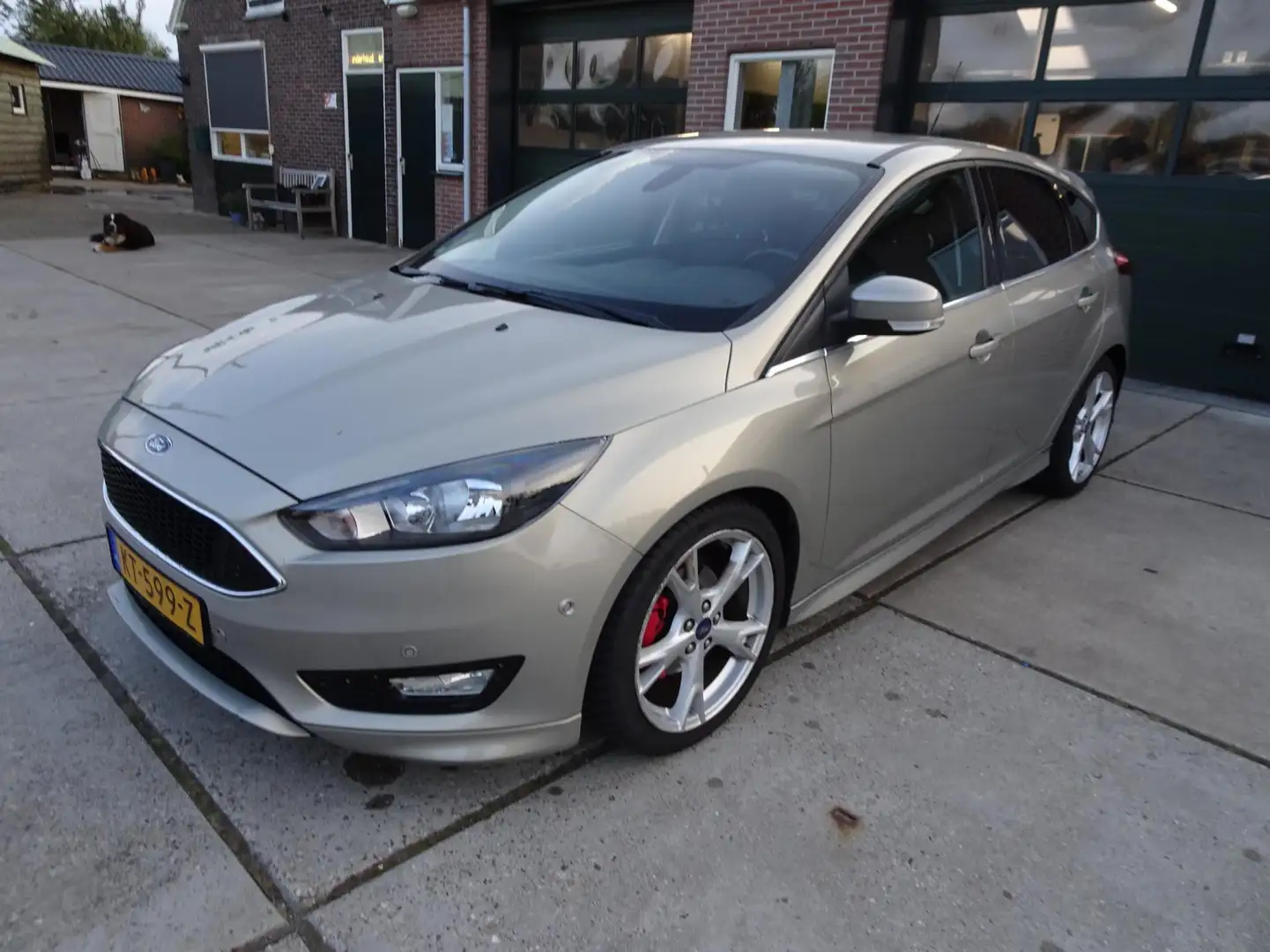 Ford Focus 1.0 Titanium Grijs - 1