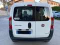 Fiat Fiorino 1.3 mjt 75cv AUTOMATICO! AUTOCARRO! Wit - thumbnail 5