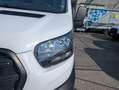Ford TRANSIT 350 L2H2 2.0 Eco MHEV 130 Cv Blanc - thumbnail 7