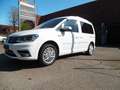 Volkswagen Caddy Highline BMT*SZH*Navi*Kamera*2-Schiebetüre Weiß - thumbnail 6