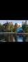 Ford Ranger Raptor Schwarz - thumbnail 3