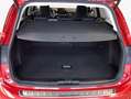Ford Focus Turnier 1.5 Benzin Aut. VIGNALE AHZV B&O Rot - thumbnail 6