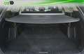 Kia Sorento 1.6 T-GDi HEV Plus Edition 4x2 7pl Negro - thumbnail 17