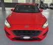 Ford Focus 1.0 ecoboost ST-Line s 125cv - UNICO PROPRIETARIO Rot - thumbnail 6