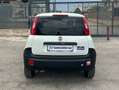 Fiat Panda VAN 1.2 BENZ 2 POSTI POP - 2018 Wit - thumbnail 4