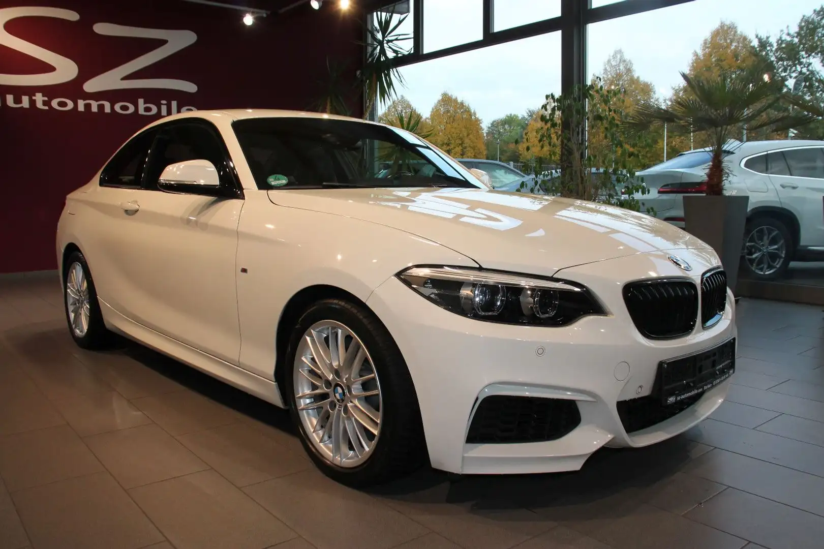 BMW 218 i  Coupe M Sport LED Navi SHZ Weiß - 1