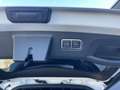 Kia Sorento 1.6T PHEV AWD Platinum Weiß - thumbnail 13
