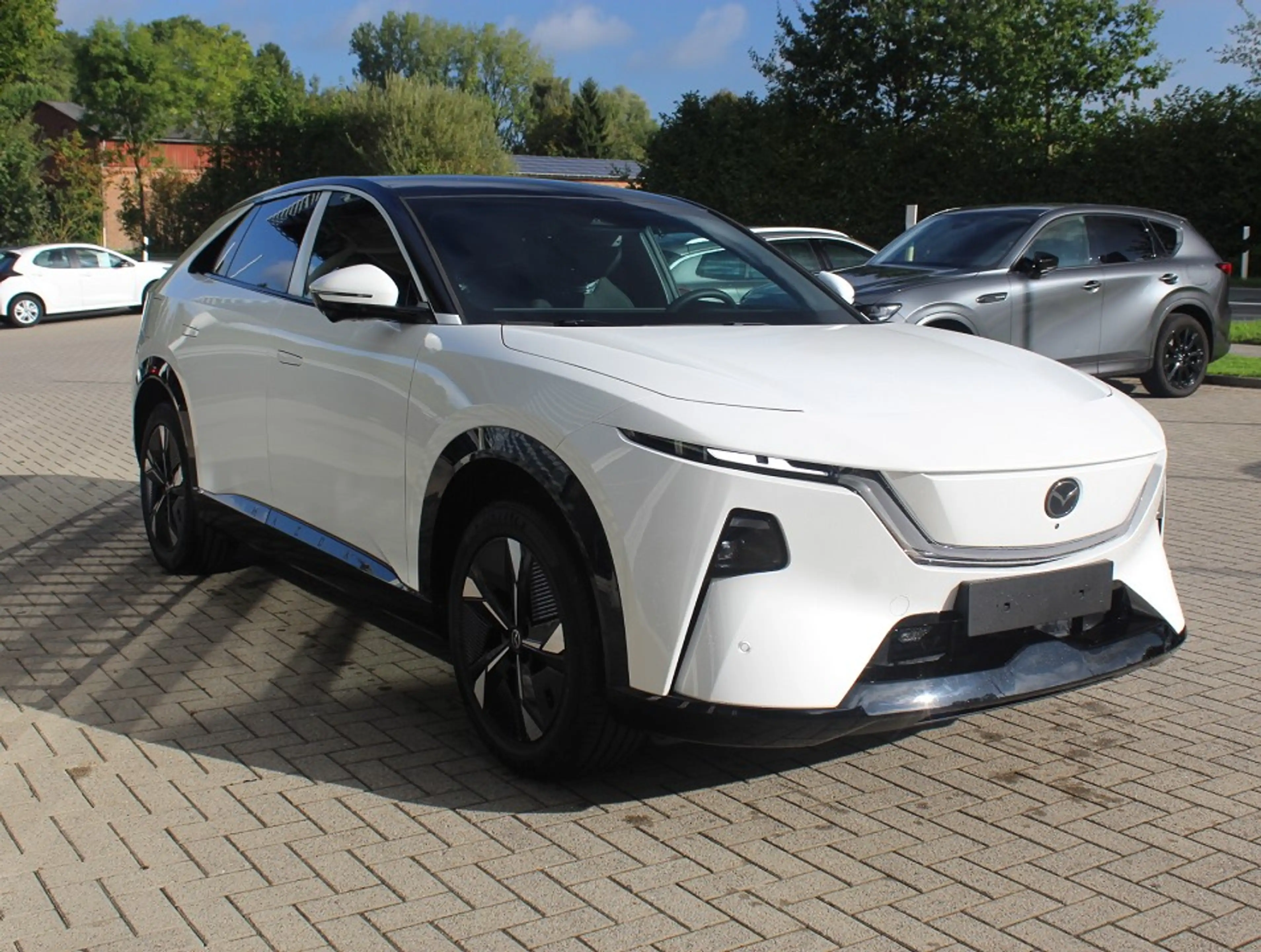 Mazda CX-6e EV-258 Takumi 19Zoll *Sofort* PANO 360° 26,45-Zoll — photo 6