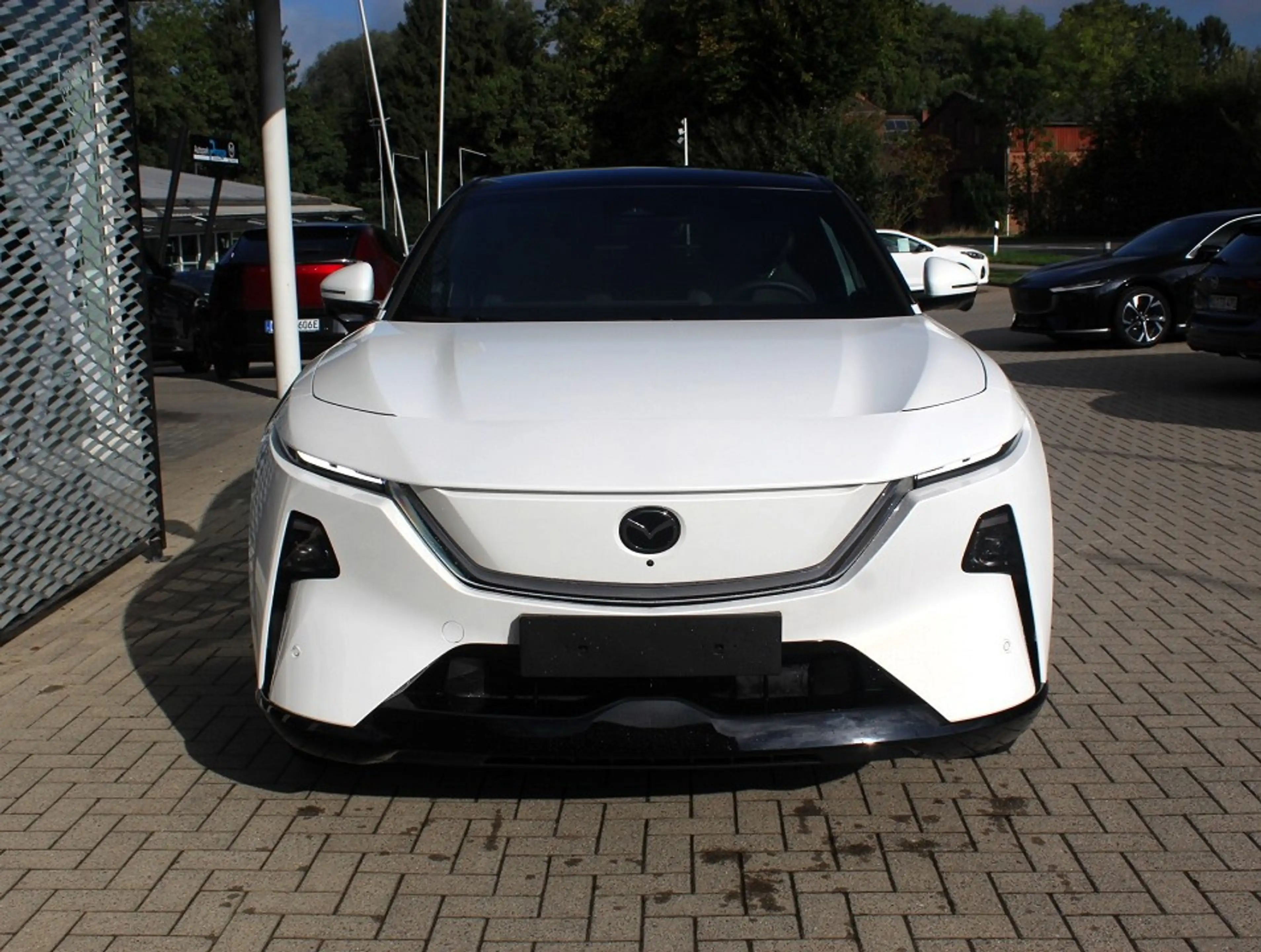 Mazda CX-6e EV-258 Takumi 19Zoll *Sofort* PANO 360° 26,45-Zoll — photo 7