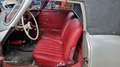 Porsche 356 PORSCHE 356 A 1600 CABRIO CONSERVATA Silver - thumbnail 4