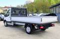 Ford Transit Fahrgestell 2,0 EcoBlue MHEV L3H1 350 T... Weiß - thumbnail 9