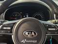Kia Sportage 1.6 CRDI 136 CV Mild Hybrid Business Class 2WD Grigio - thumbnail 8