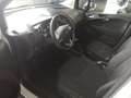 Ford Transit Courier Transit Courier 1,0 EcoBoost Trend Blanc - thumbnail 3