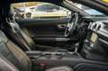 Ford Mustang 5.0 Ti-VCT V8 GT Or - thumbnail 30