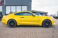 Ford Mustang 5.0 Ti-VCT V8 GT Or - thumbnail 12