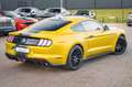 Ford Mustang 5.0 Ti-VCT V8 GT Or - thumbnail 13