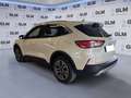 Ford Kuga 2.5 Plug In Hybrid 225 CV CVT 2WD Titanium X Blanc - thumbnail 3