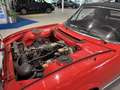Peugeot 504 2.0 Cabrio Inj. 1978 Rot - thumbnail 9