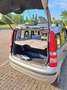 Fiat Panda Panda II 2003 1.2 Dynamic eco Grigio - thumbnail 10