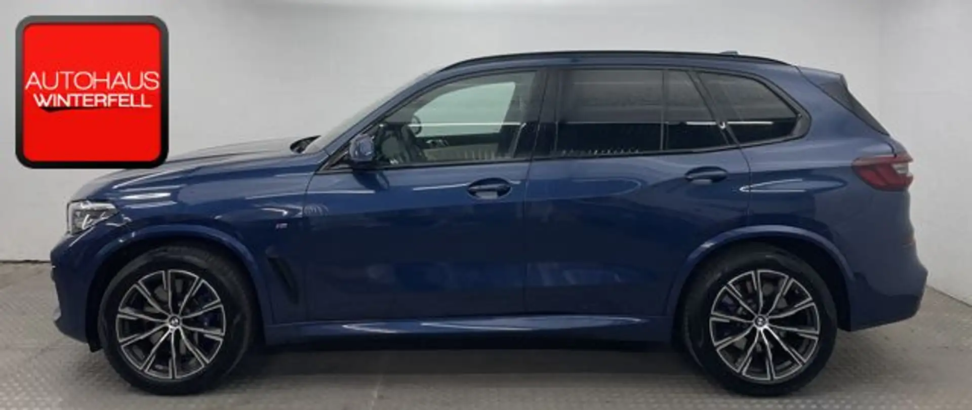 BMW X5 xDrive 25d M SPORT 7SITZ+2-ACHS-LUFT+STANDHZG Blauw - 2