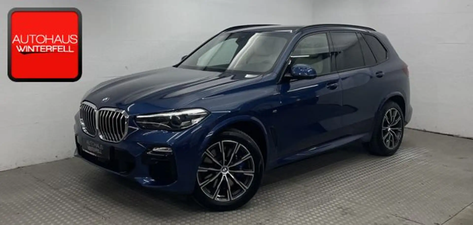 BMW X5 xDrive 25d M SPORT 7SITZ+2-ACHS-LUFT+STANDHZG Blauw - 1