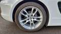 Porsche Boxster 2.7 Roadster 265 PDK 981 Blanc - thumbnail 16