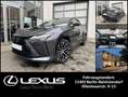 Lexus RZ 450e DIRECT4 Launch Edition * Design Paket * Сірий - thumbnail 1