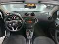 smart forTwo EQ Cabrio SHZ PDC TEMP KLIMA Blanco - thumbnail 11