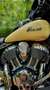 Indian Roadmaster black/cream Nero - thumbnail 14