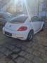 Volkswagen Beetle The 1.2 TSI CUP Blanc - thumbnail 3