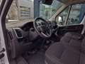 Peugeot Boxer 35+ L3H2 BlueHDi 140 S&S EAT8 Aut. "Augus... Weiß - thumbnail 15