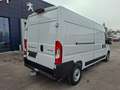 Peugeot Boxer 35+ L3H2 BlueHDi 140 S&S EAT8 Aut. "Augus... Weiß - thumbnail 6