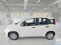 Fiat Panda 1.0 Firefly Hybrid KM 56.000 Bianco - thumbnail 3