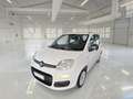 Fiat Panda 1.0 Firefly Hybrid KM 56.000 Bianco - thumbnail 1