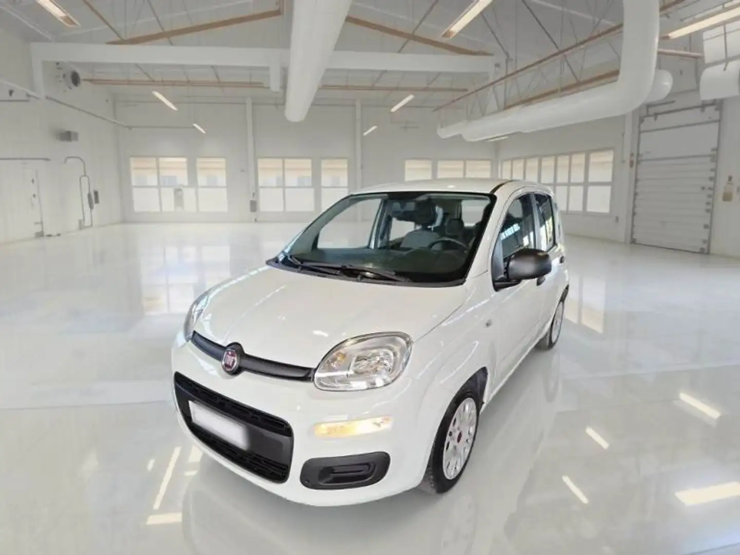 Fiat Panda 1.0 Firefly Hybrid KM 56.000 Bianco - 1
