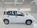 Fiat Panda 1.0 Firefly Hybrid KM 56.000 Bianco - thumbnail 4