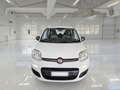 Fiat Panda 1.0 Firefly Hybrid KM 56.000 Bianco - thumbnail 2