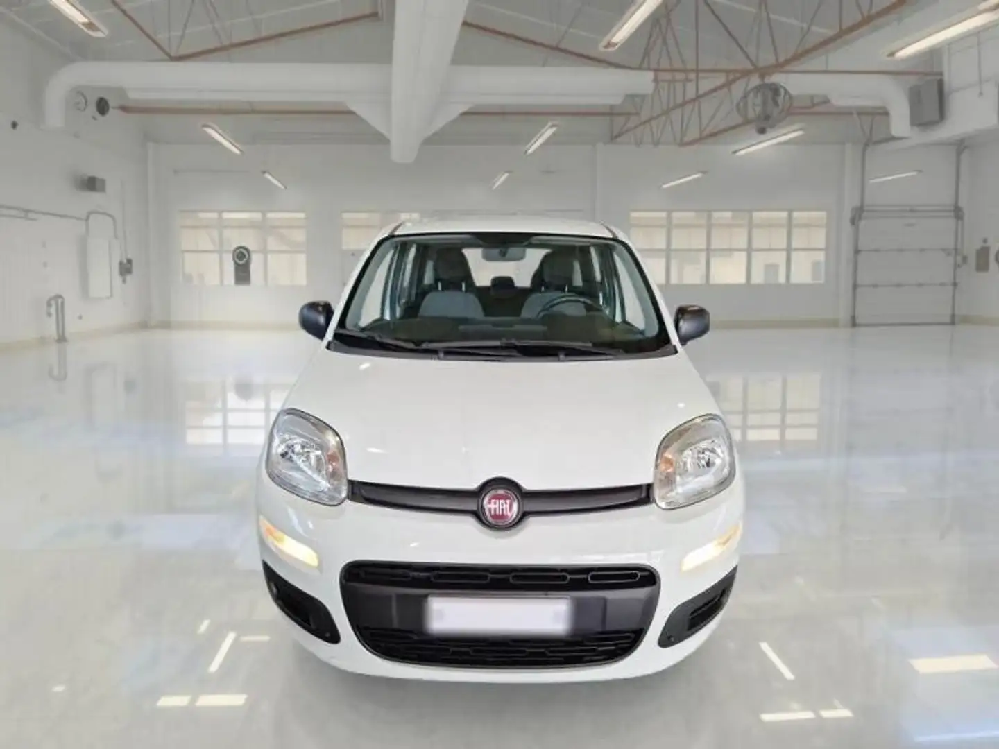 Fiat Panda 1.0 Firefly Hybrid KM 56.000 Bianco - 2
