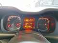 Fiat Panda 1.0 Firefly Hybrid KM 56.000 Bianco - thumbnail 7