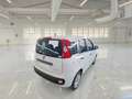 Fiat Panda 1.0 Firefly Hybrid KM 56.000 Bianco - thumbnail 5