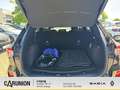 Ford Kuga Kuga 2.5 Duratec PHEV VIGNALE Plug-in Schwarz - thumbnail 12