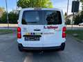 Toyota Proace L2 Kasten Meister Motor 2,0 LtrKamera AHK Weiß - thumbnail 10