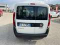 Fiat Doblo Doblo 1.6 mjt 16v Easy s Weiß - thumbnail 2