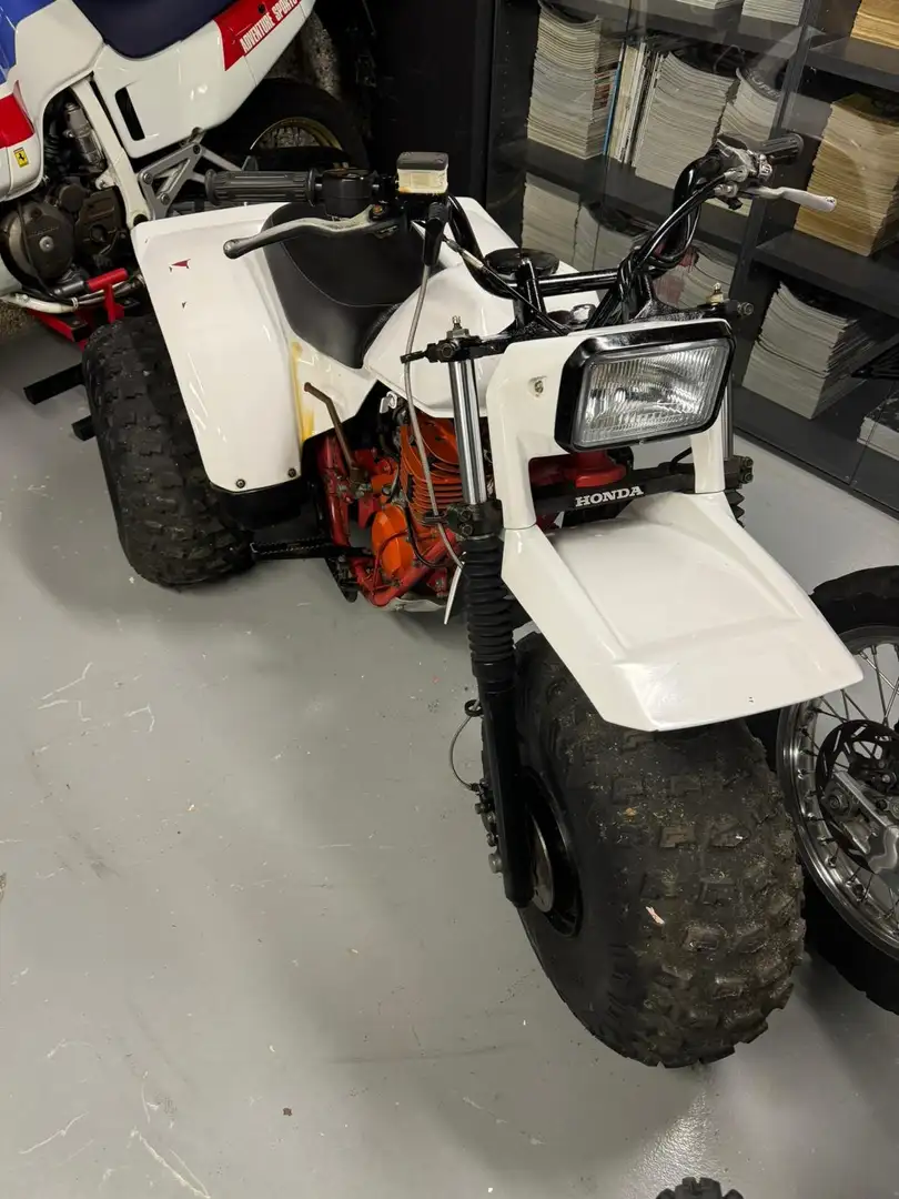 Honda ATC 250 Bianco - 2