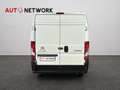 Citroen Jumper 33 BlueHDi 130 PM-TM L2H2 Furgone Bianco - thumbnail 6